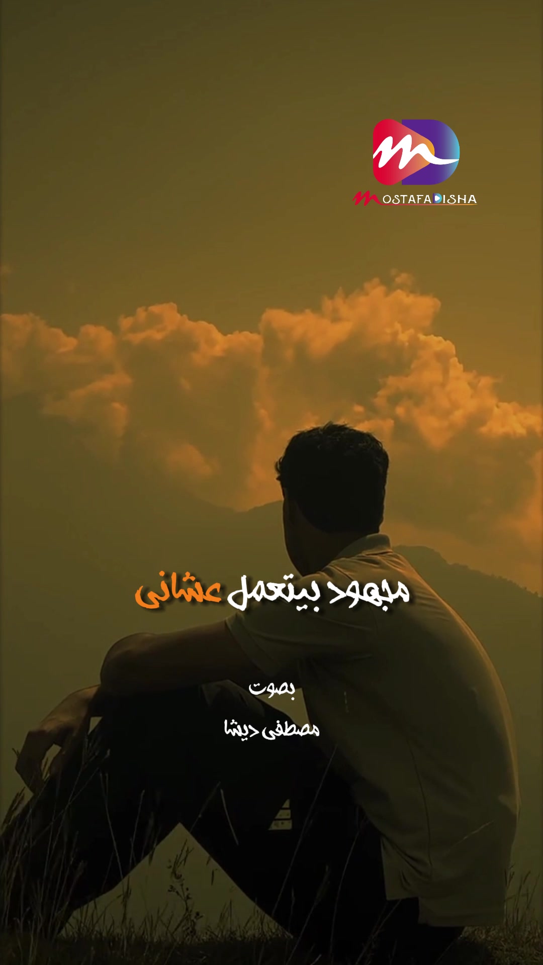 @Mostafa Disha