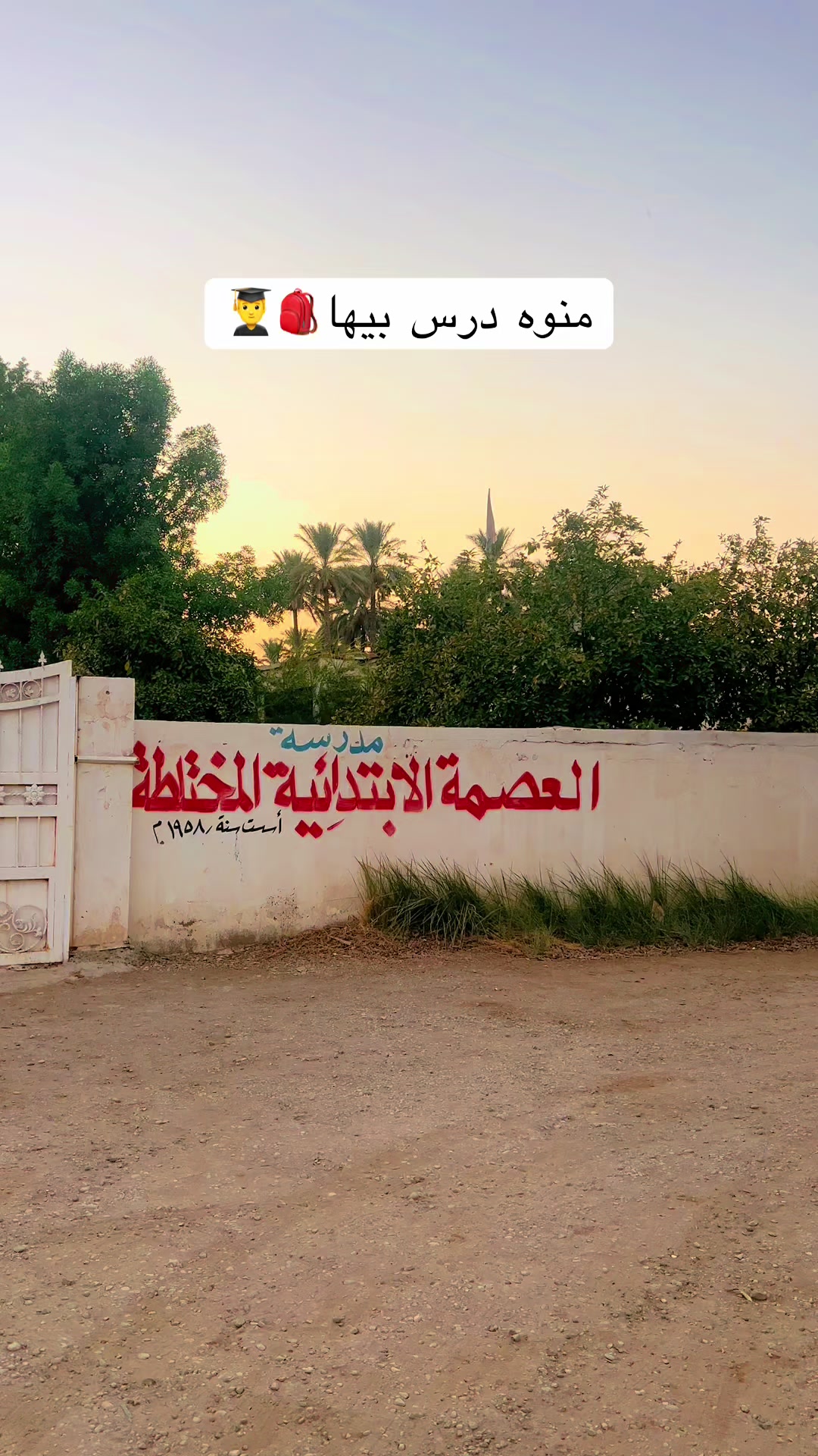 @زاهر علي