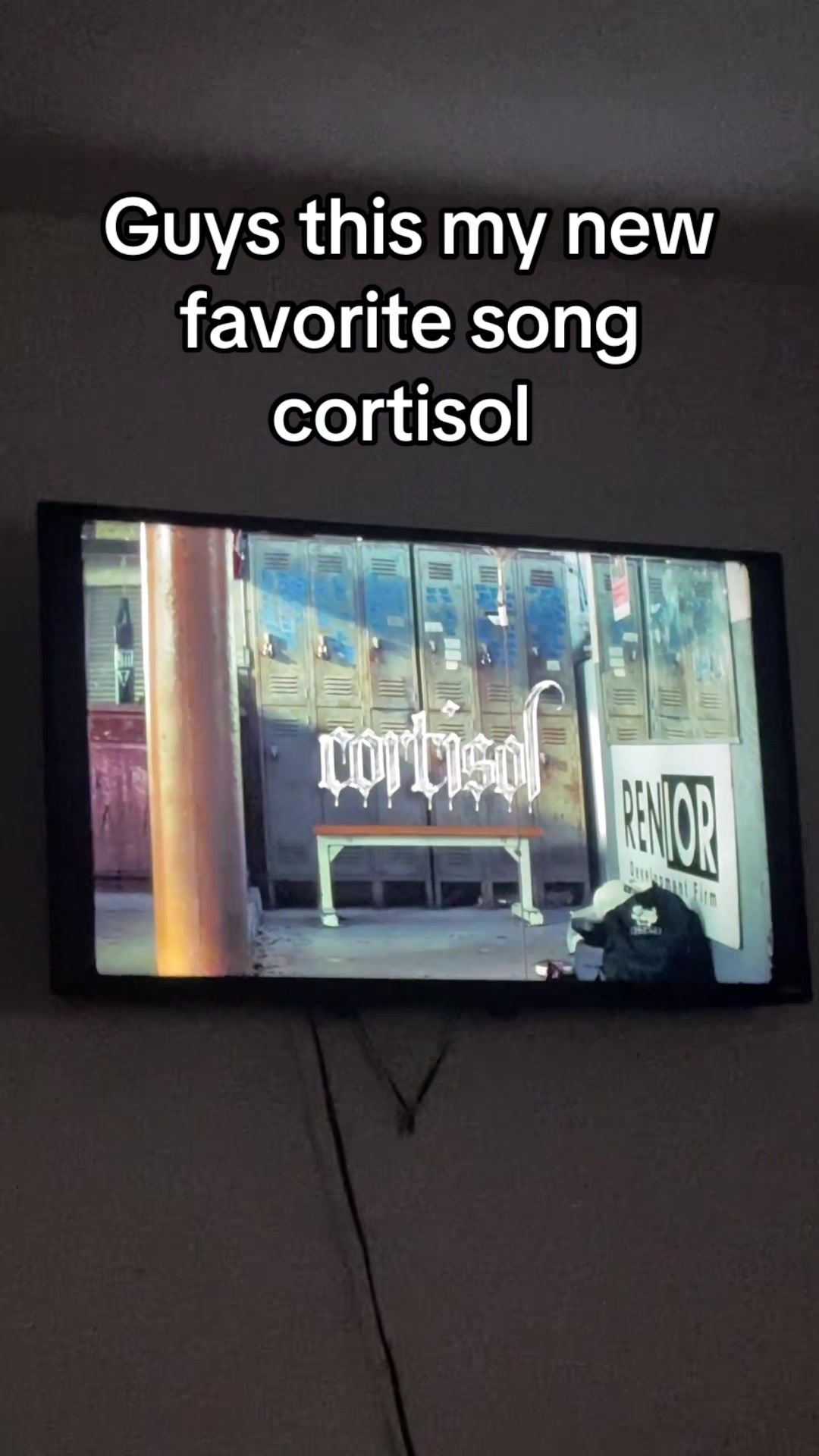 @curlyjoejr2376