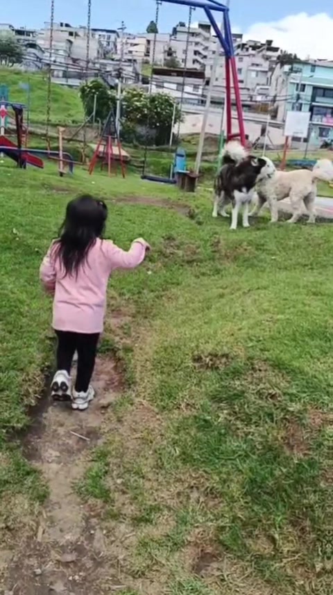 @heidy__curipoma