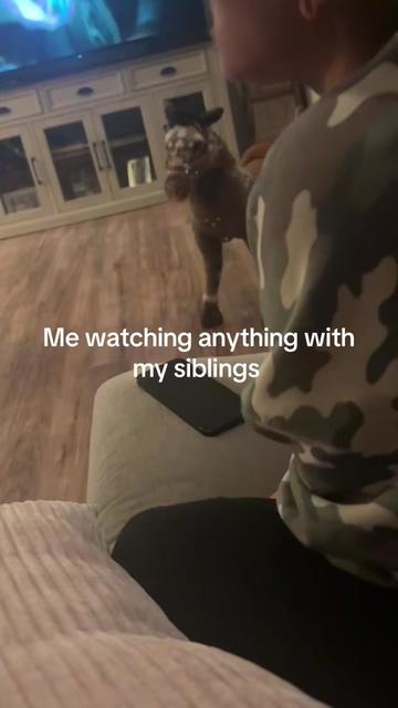 @𝒅 𝒆 𝒔 𝒔
