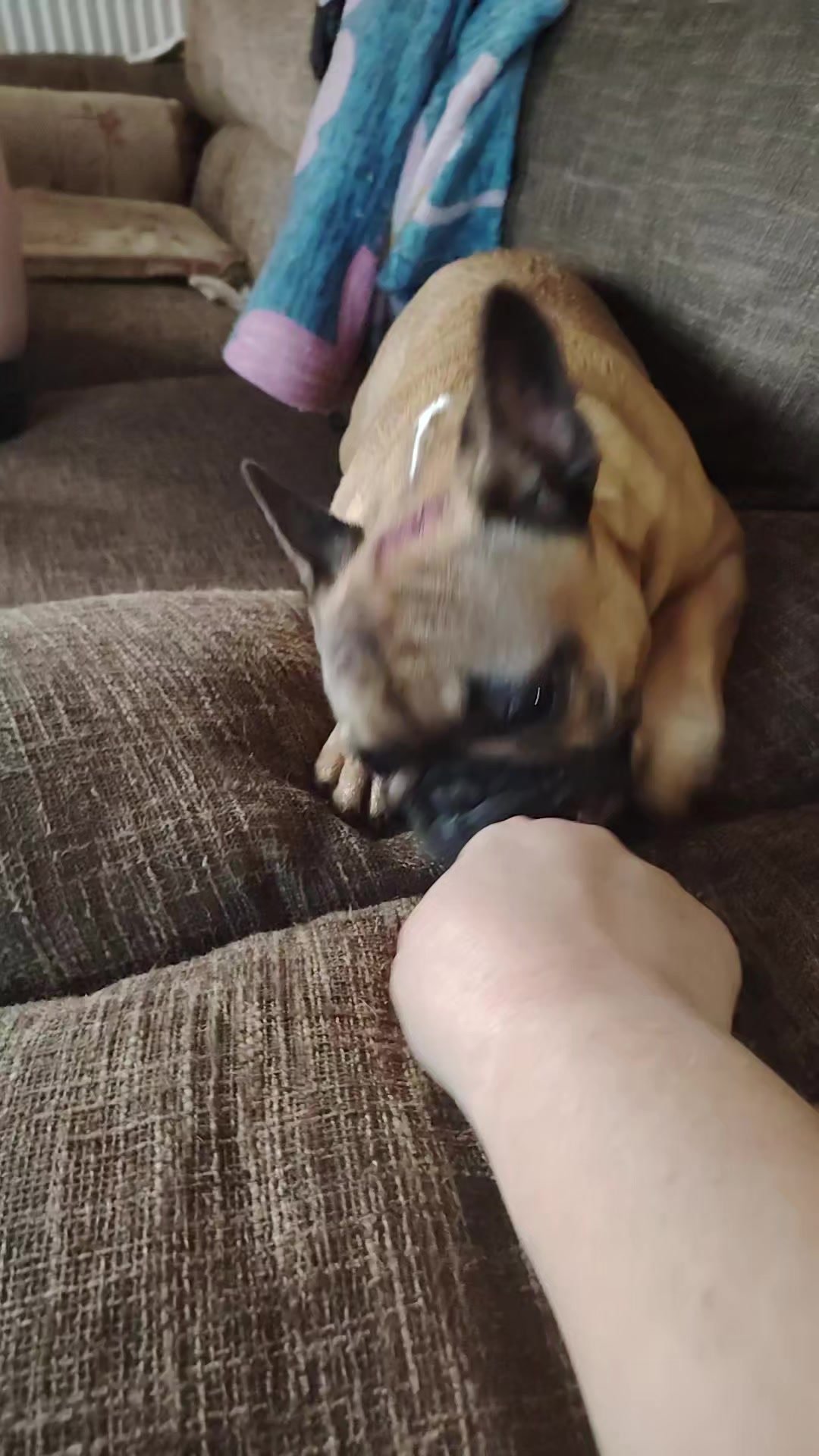 @Bulliunatulli