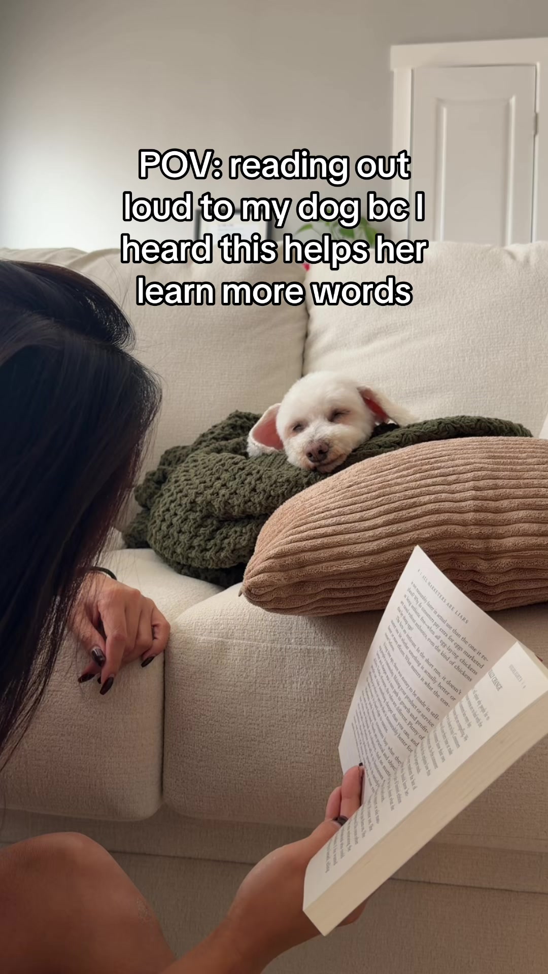 @Spicy The Dog