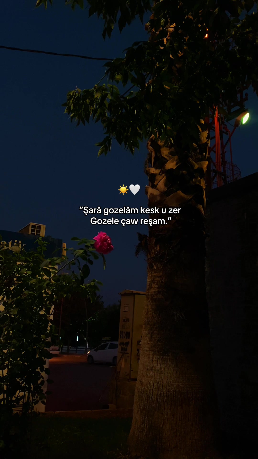 @𝓞𝓷𝓼𝓮𝓴𝓲𝔃𝓪𝓻𝓪𝓵ı𝓴
