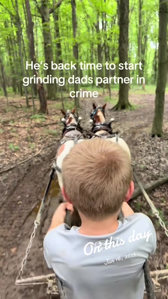 @cj