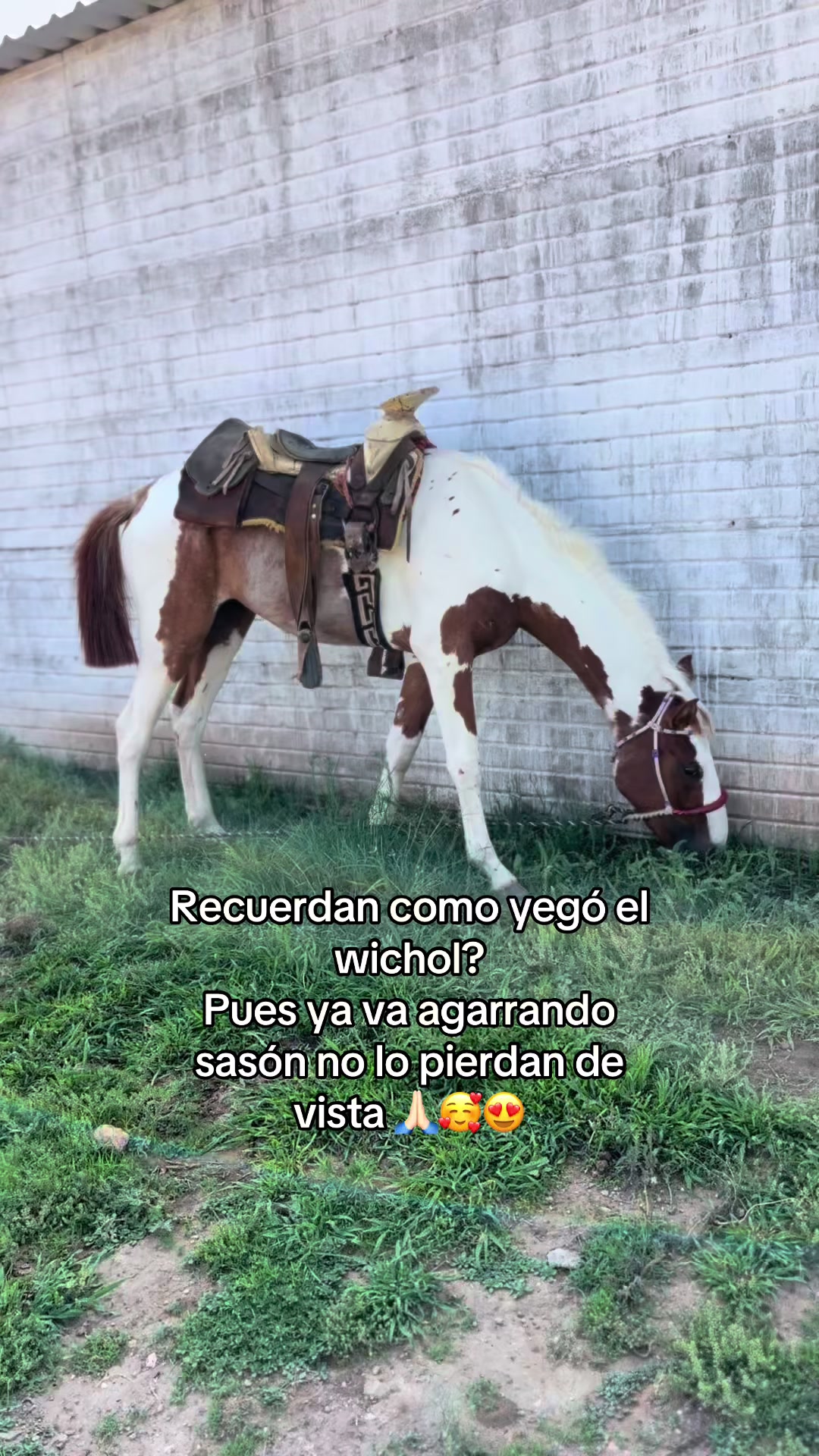 @Samuel Sánchez el sammy 😈😈👻