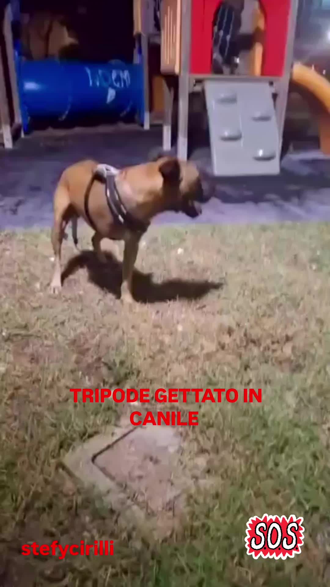 @Stefy Cirilli