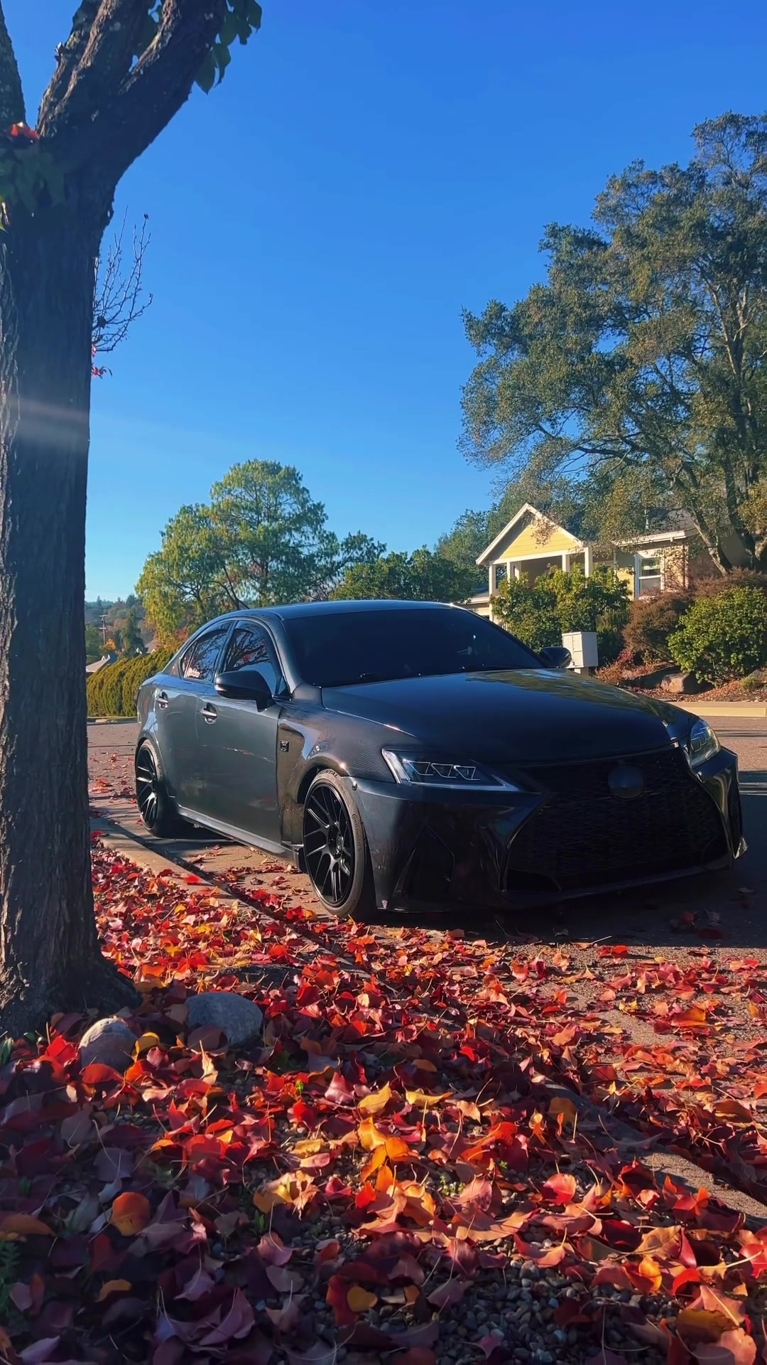 @Lexus Boys RD