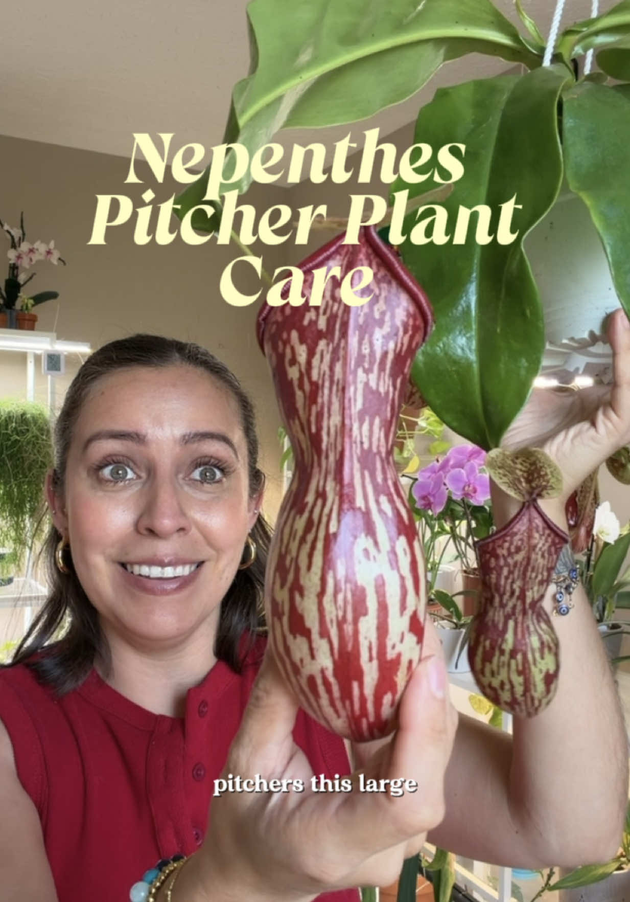 @PlantswithKrystal