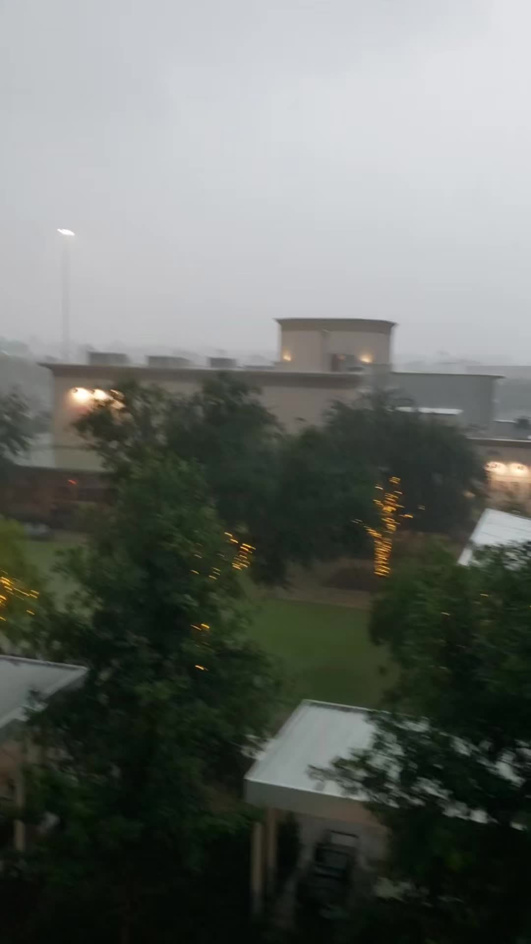 @🌺🌻Tomasa Puac 🌺🌻🇬🇹🇺🇸