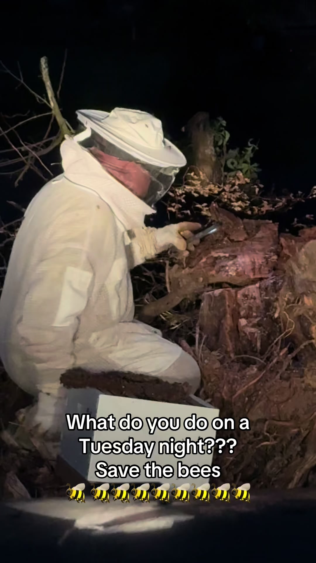 @Joe