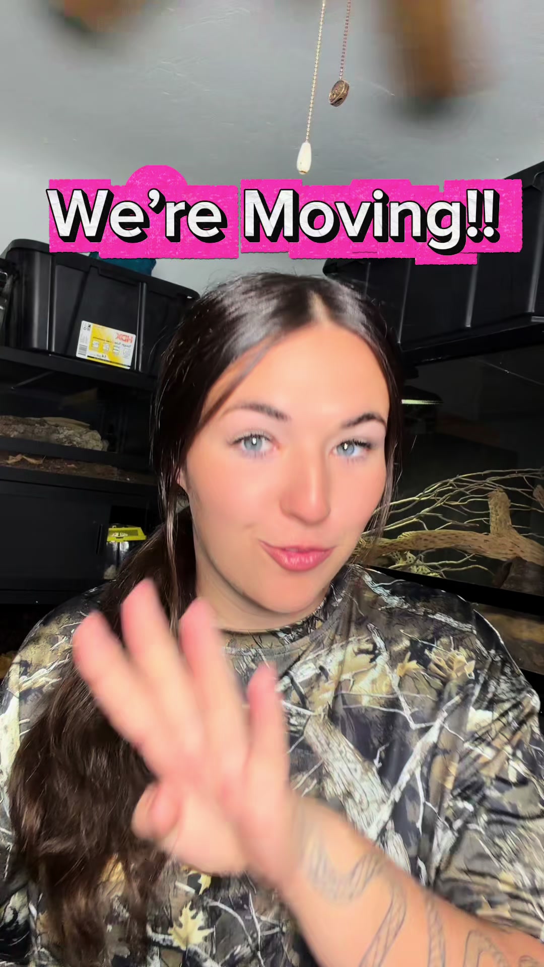@Katie | my personal zoo 🦎🐰
