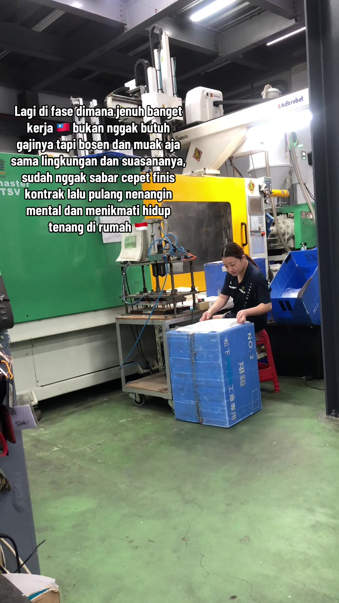 @Plat E 🥭