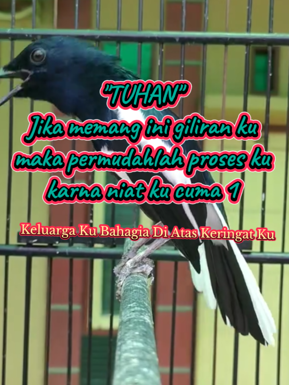@dunia ternak