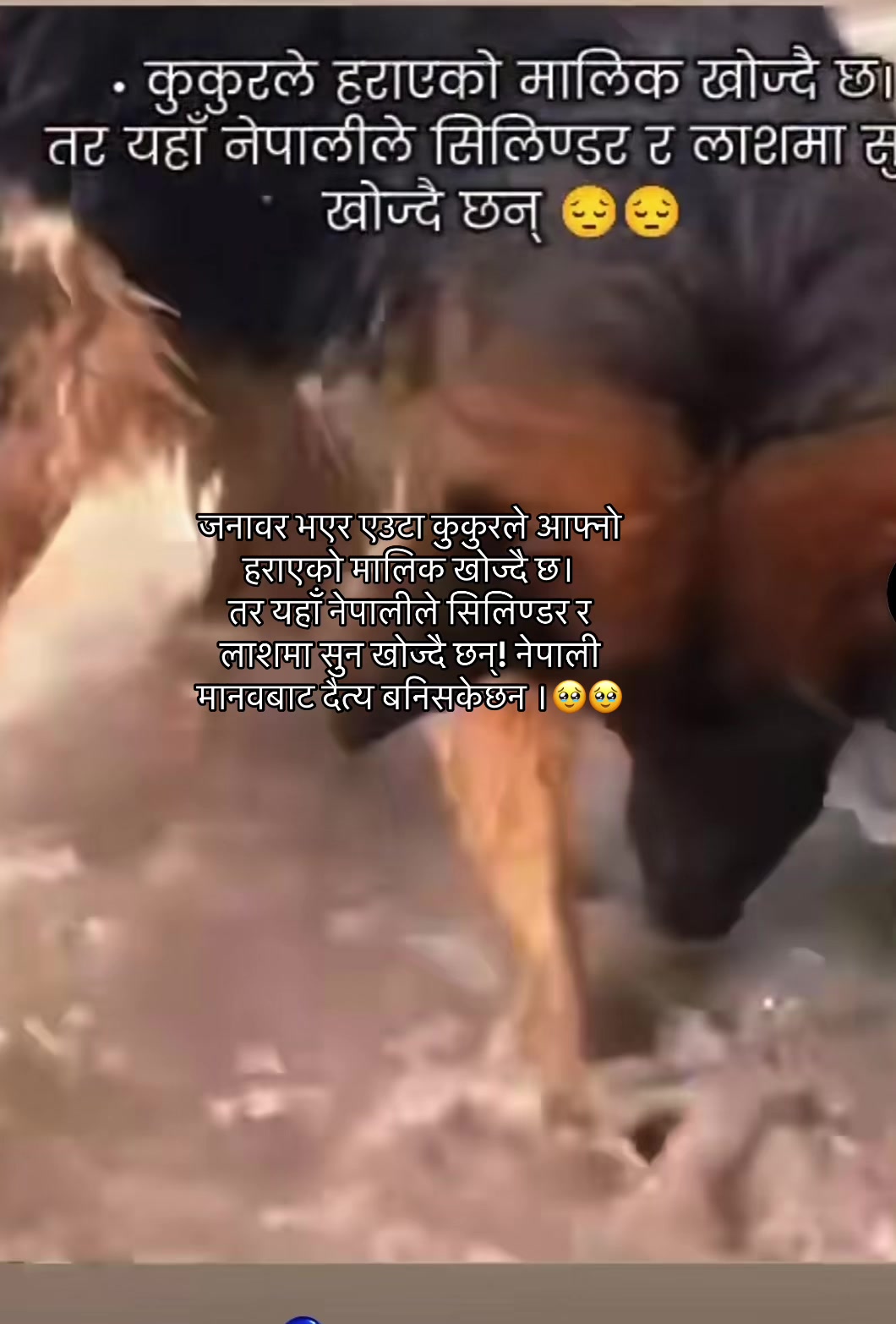@🕉️ 🪔सबि क्षेत्रि🤘🏻🫶🏻💪