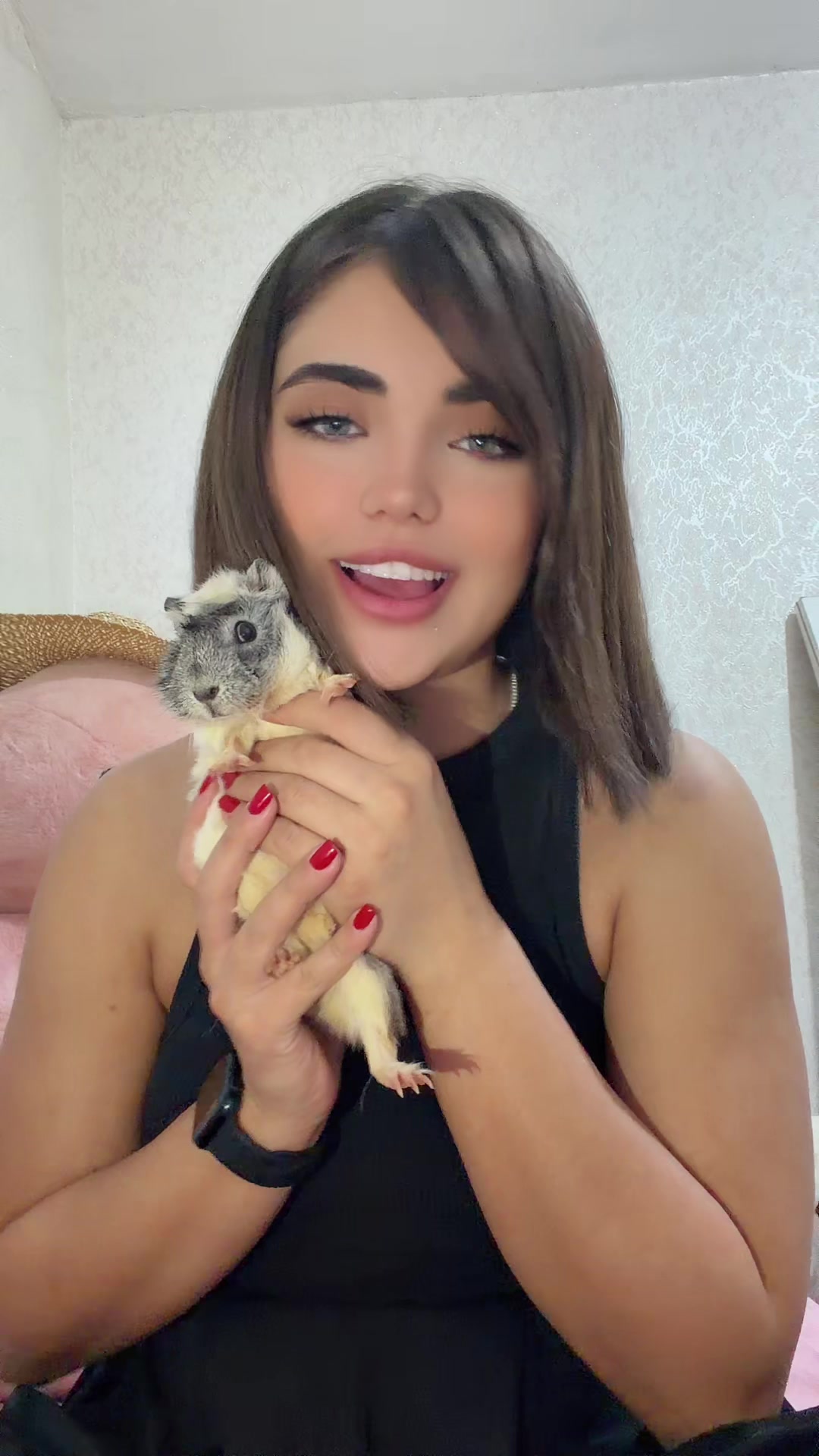 @manashakibi