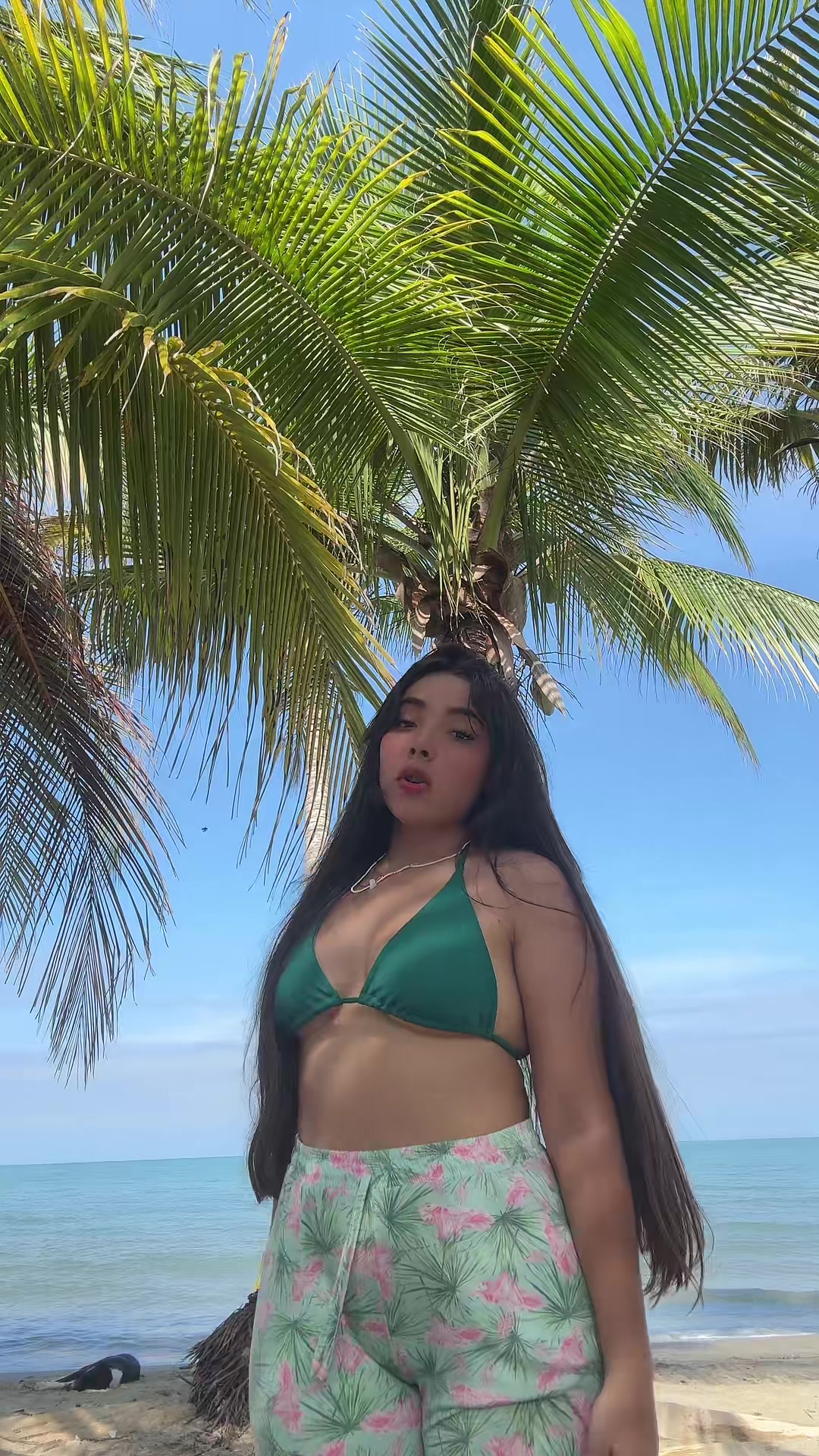 @maia