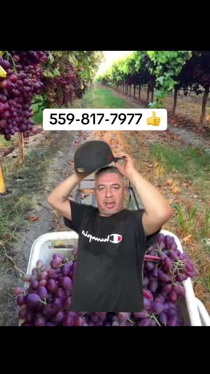 @Gustavo