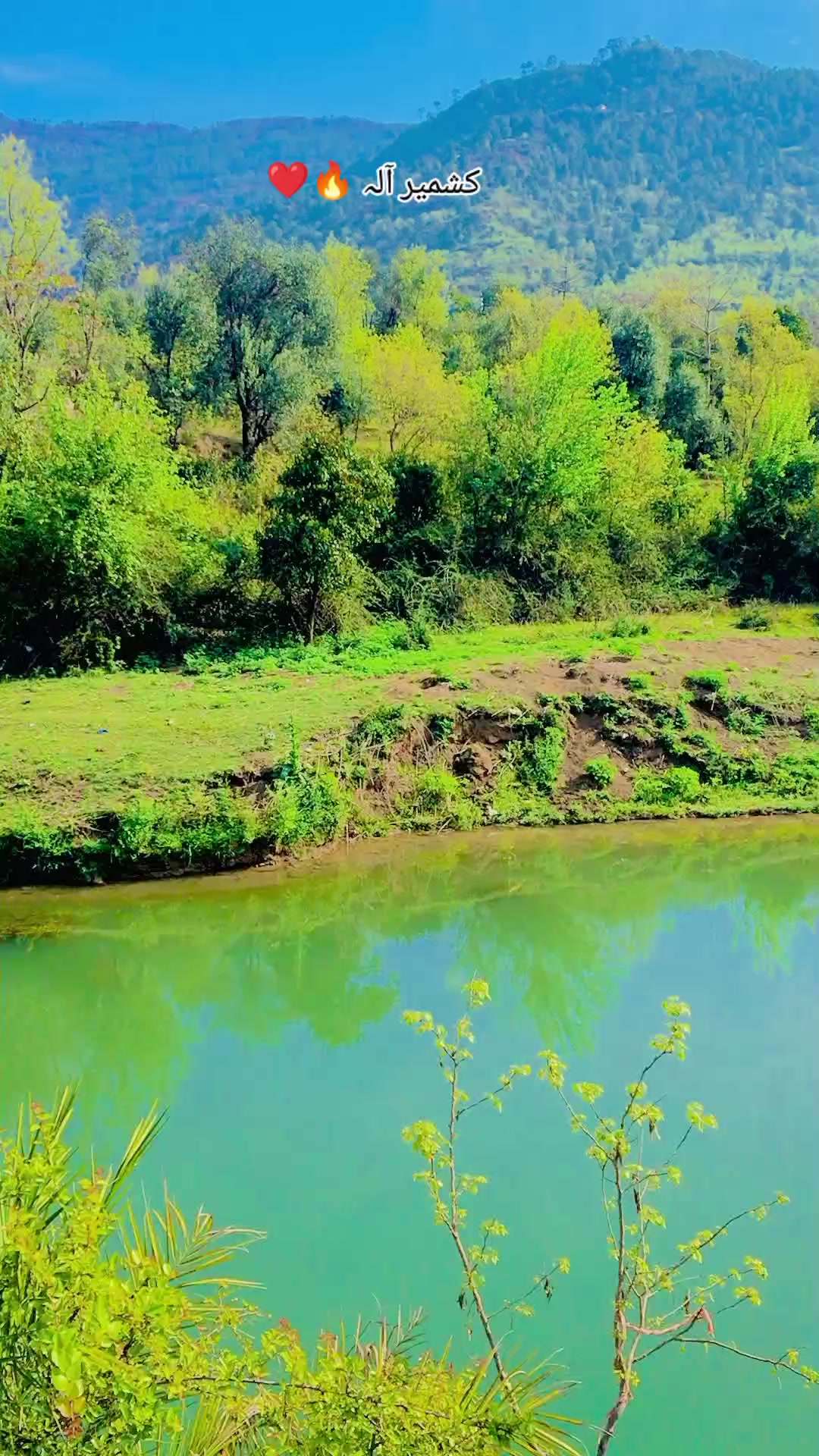 @💥کشمیری 💫سدوزئی🔥