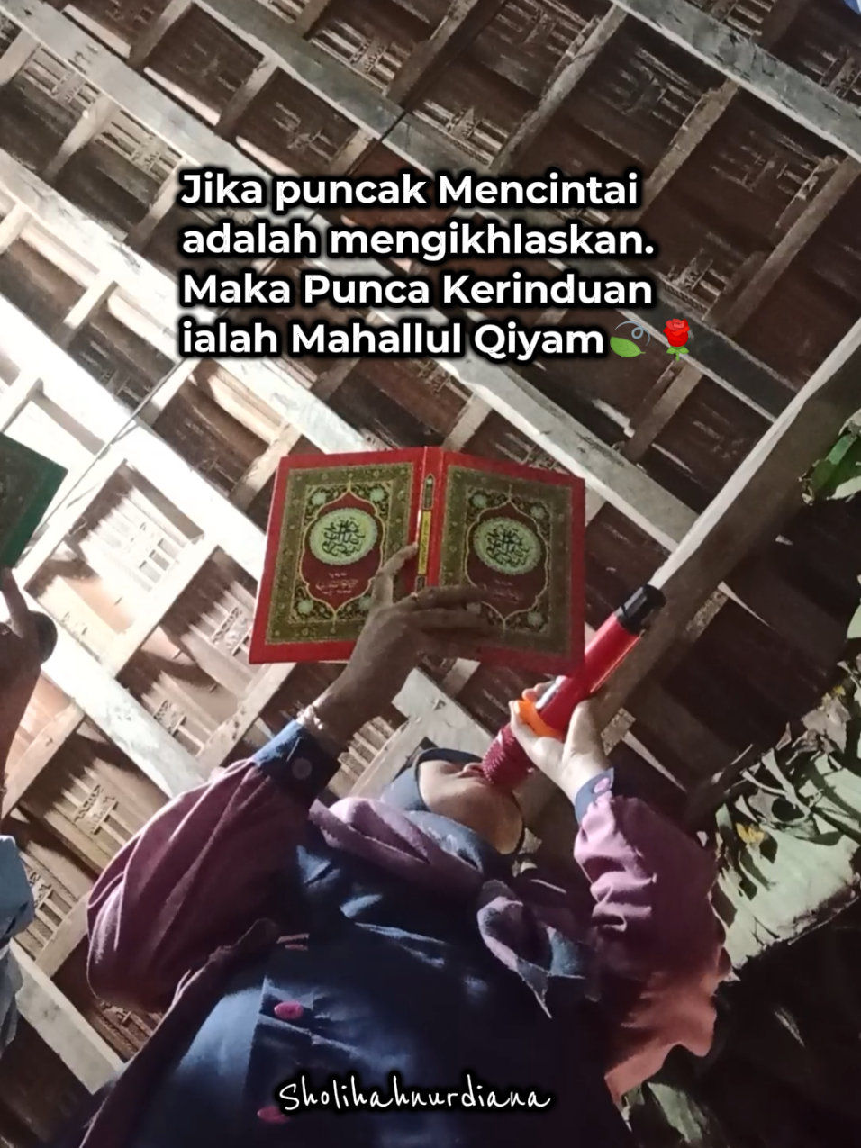 @Habibana