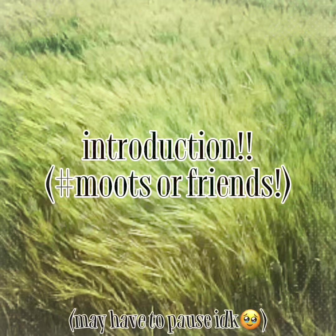 @⋆.ೃ࿔*:･🌊