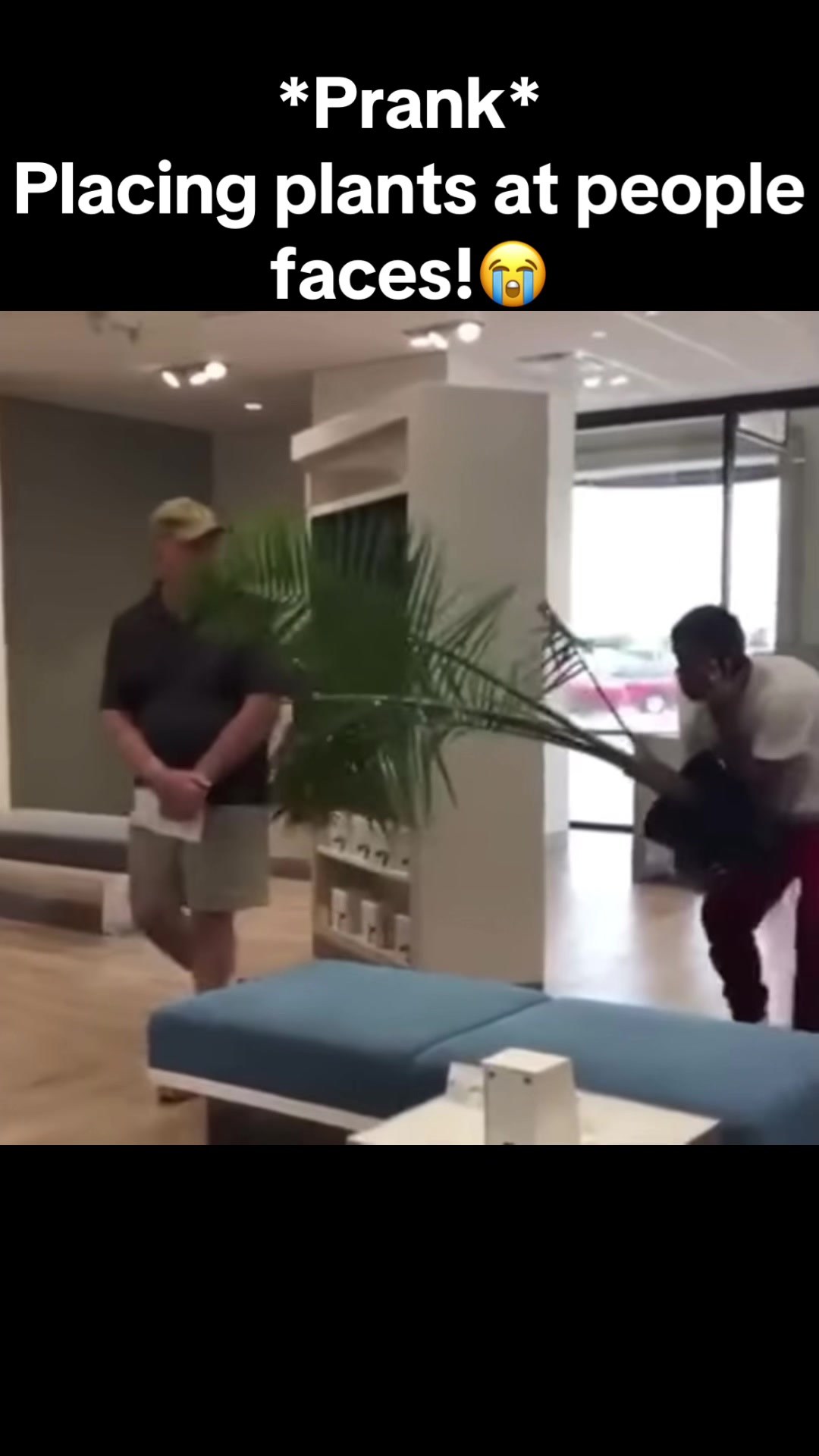 @DailyPranks