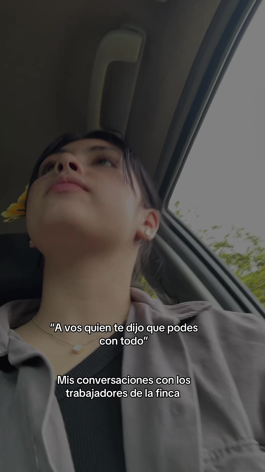 @Lu