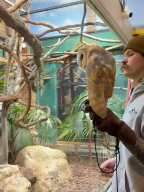 @The Toledo Zoo