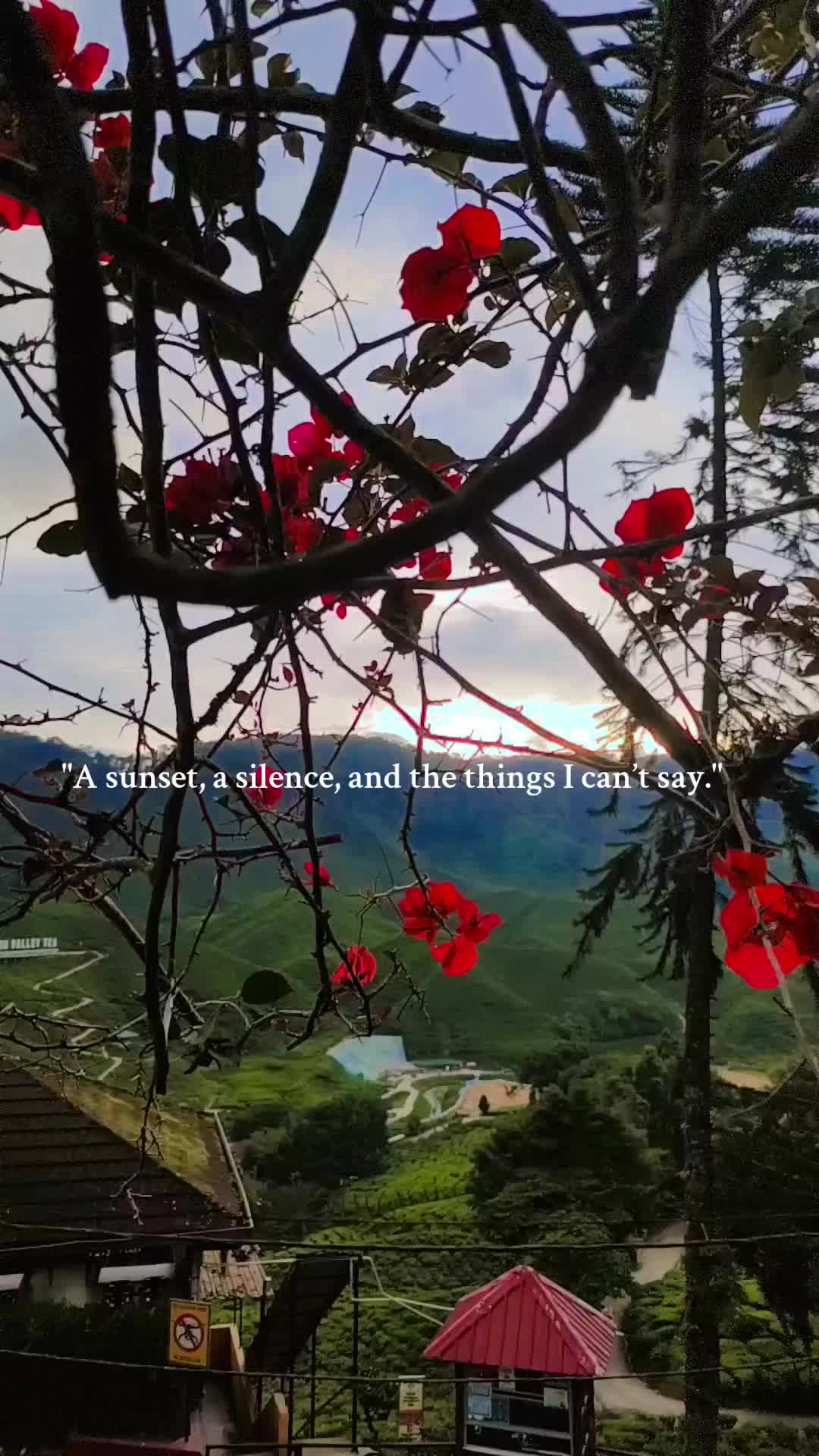 @malar_raj