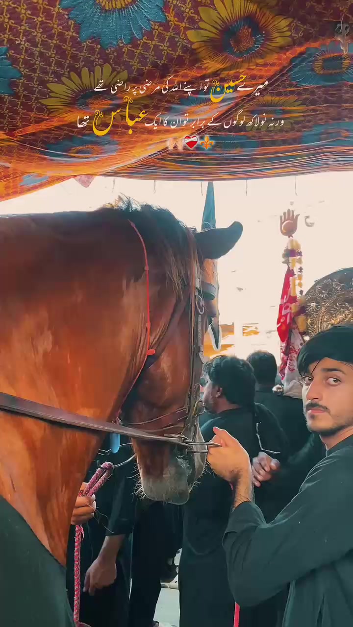 @مرکزی ذوالجناح تلہ گنگ