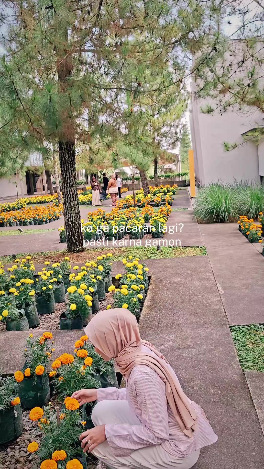 @Risabeauty_shop