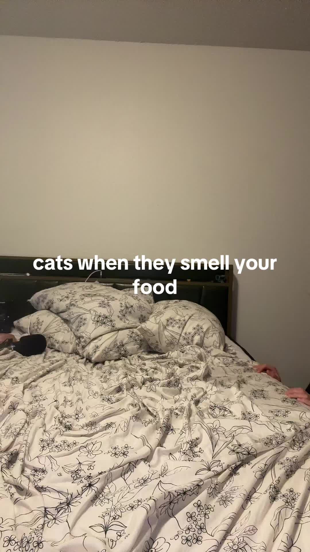 @kat 💕🫶