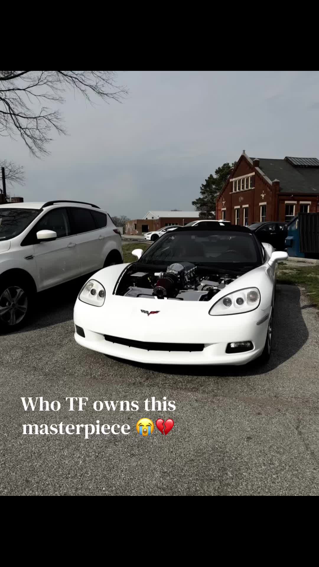 @brayan.317VR