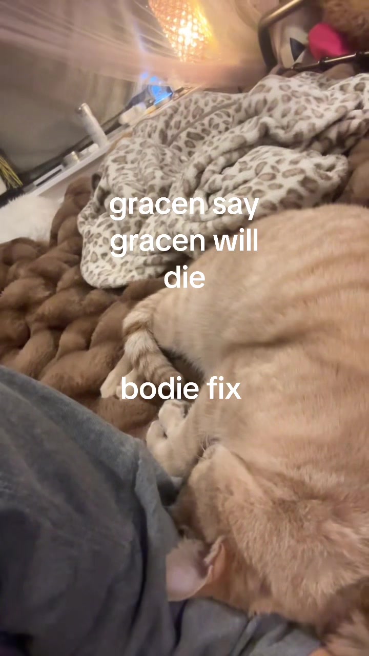 @gracen?(peep&rsquo;s version<3)