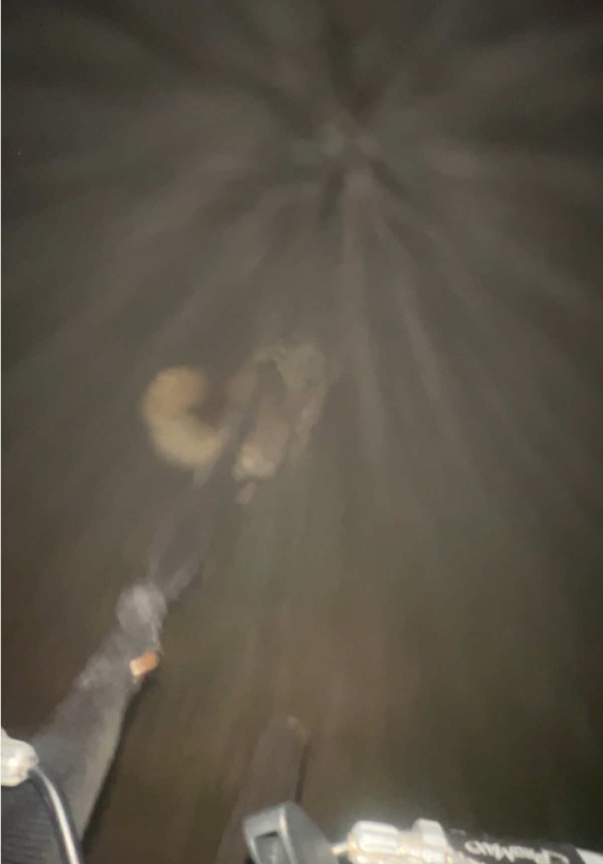 @SOLO🥀