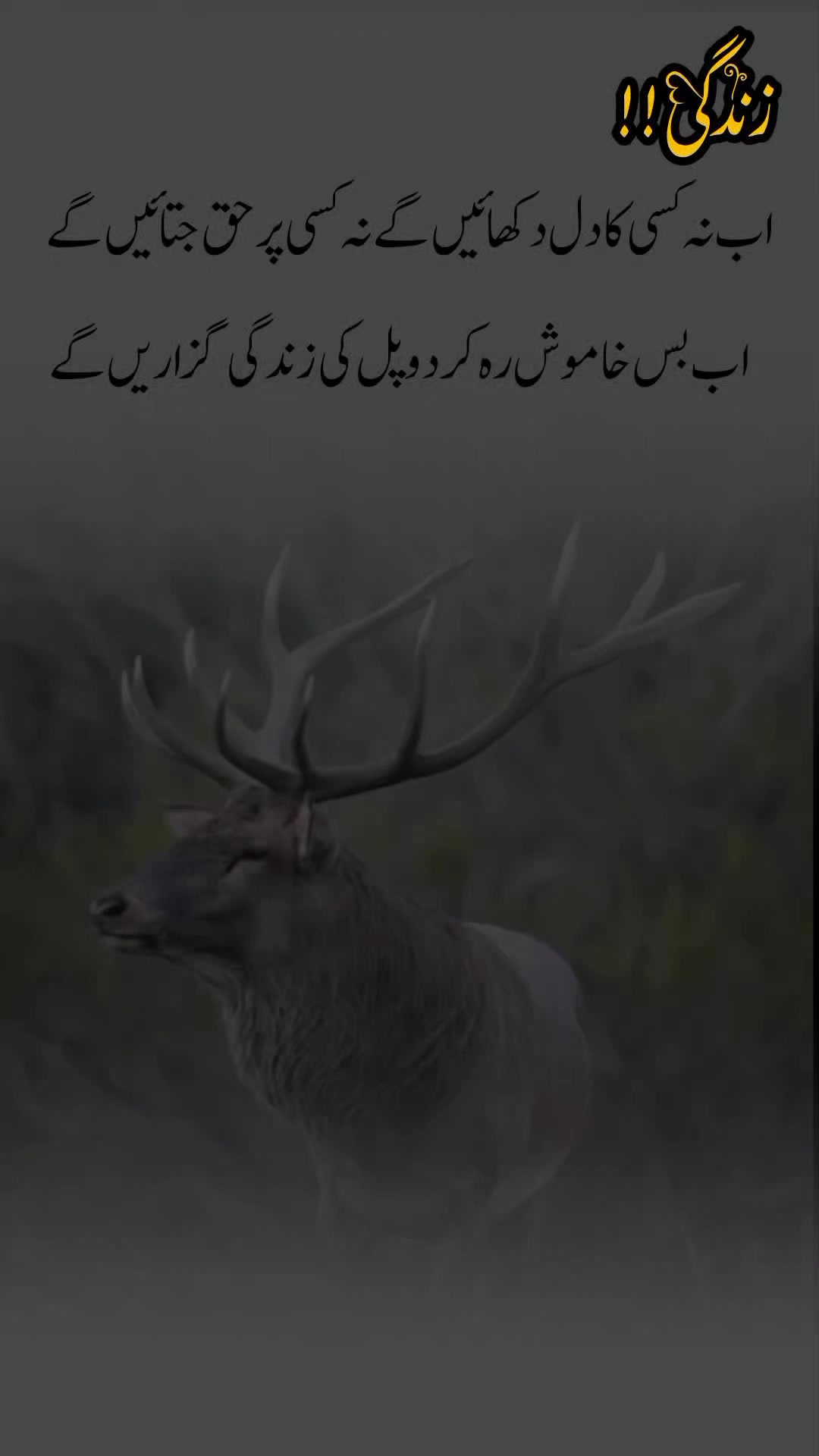 @درد دل