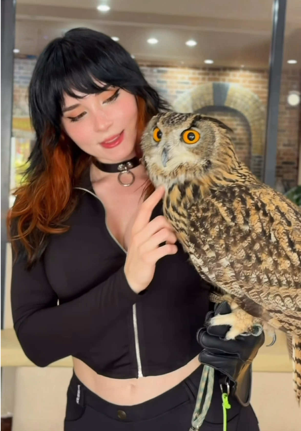 @Sweetie Fox
