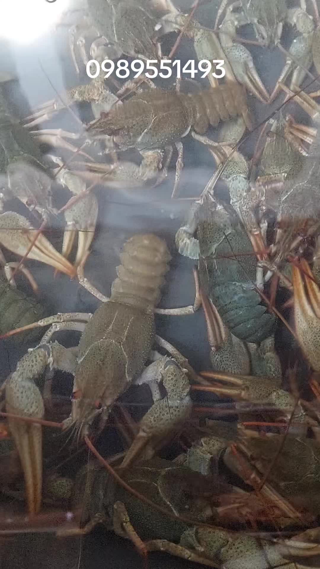 @Раки Умань