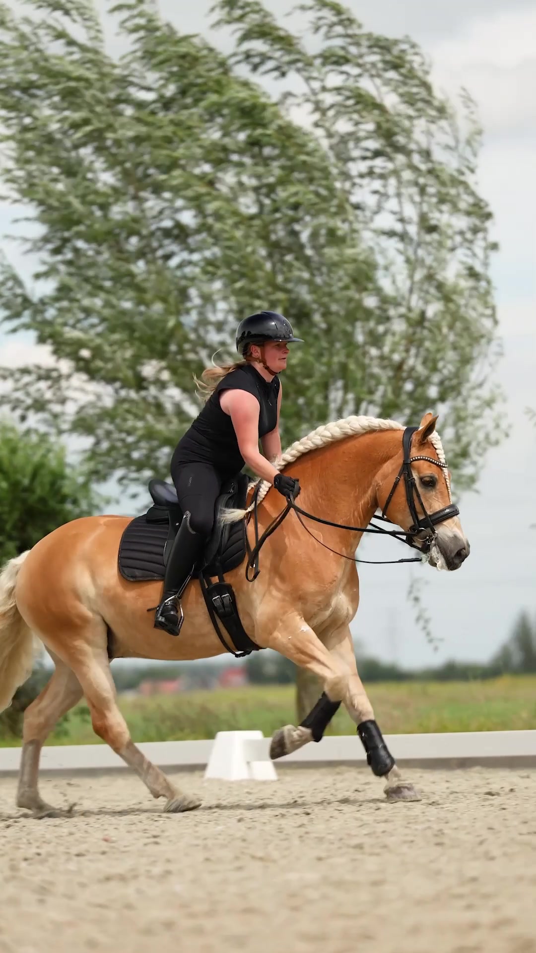 @Montar Benelux