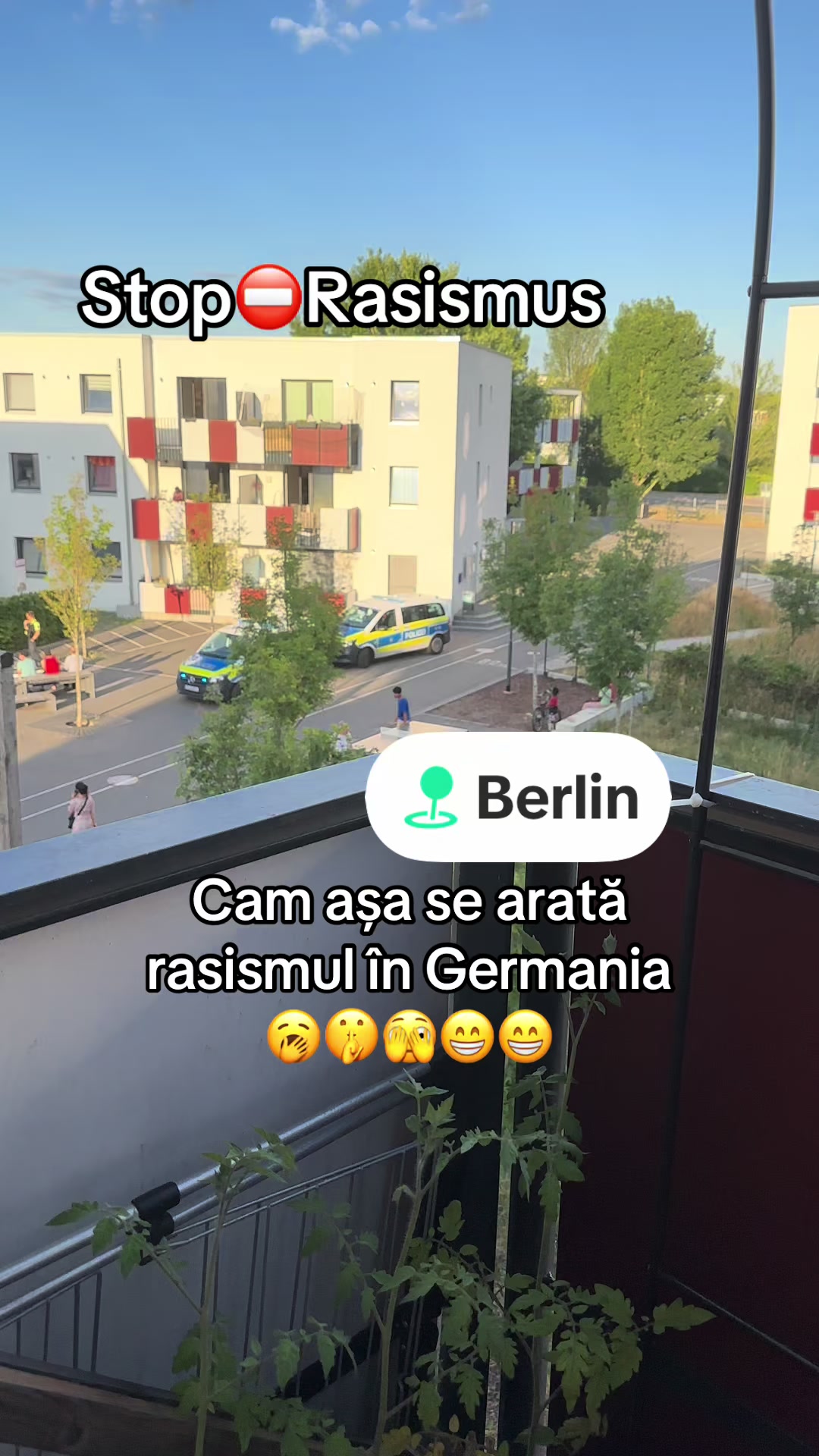 @Anișoara💎