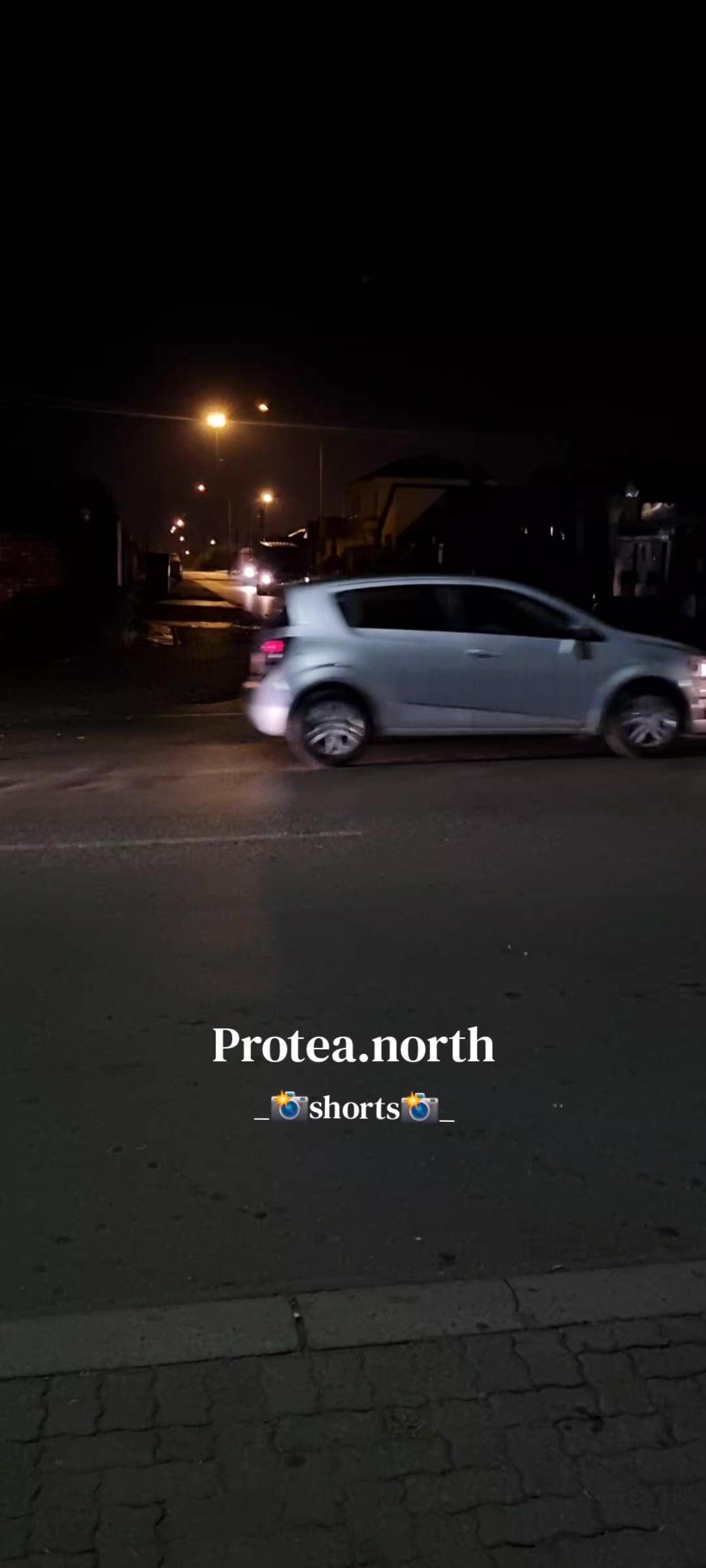 @Protea.north_shorts_