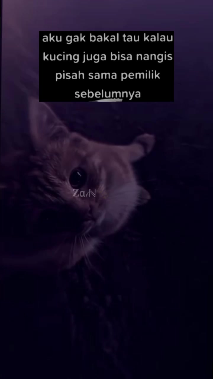 @𝐙&alpha;𝒾ℕ🐾