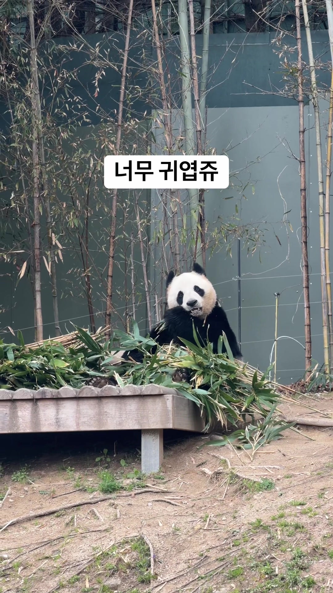 @빌롱뷰티 브로우