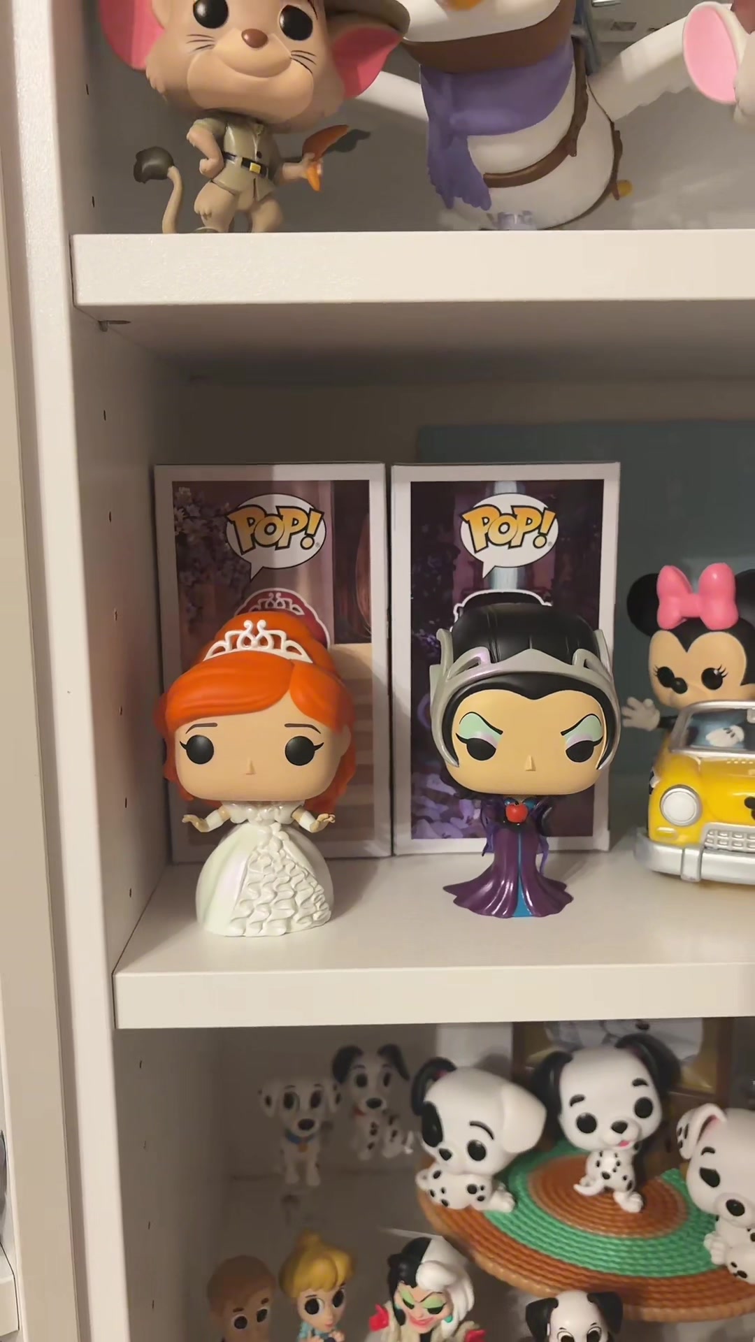 @The Magical Collector ✨️