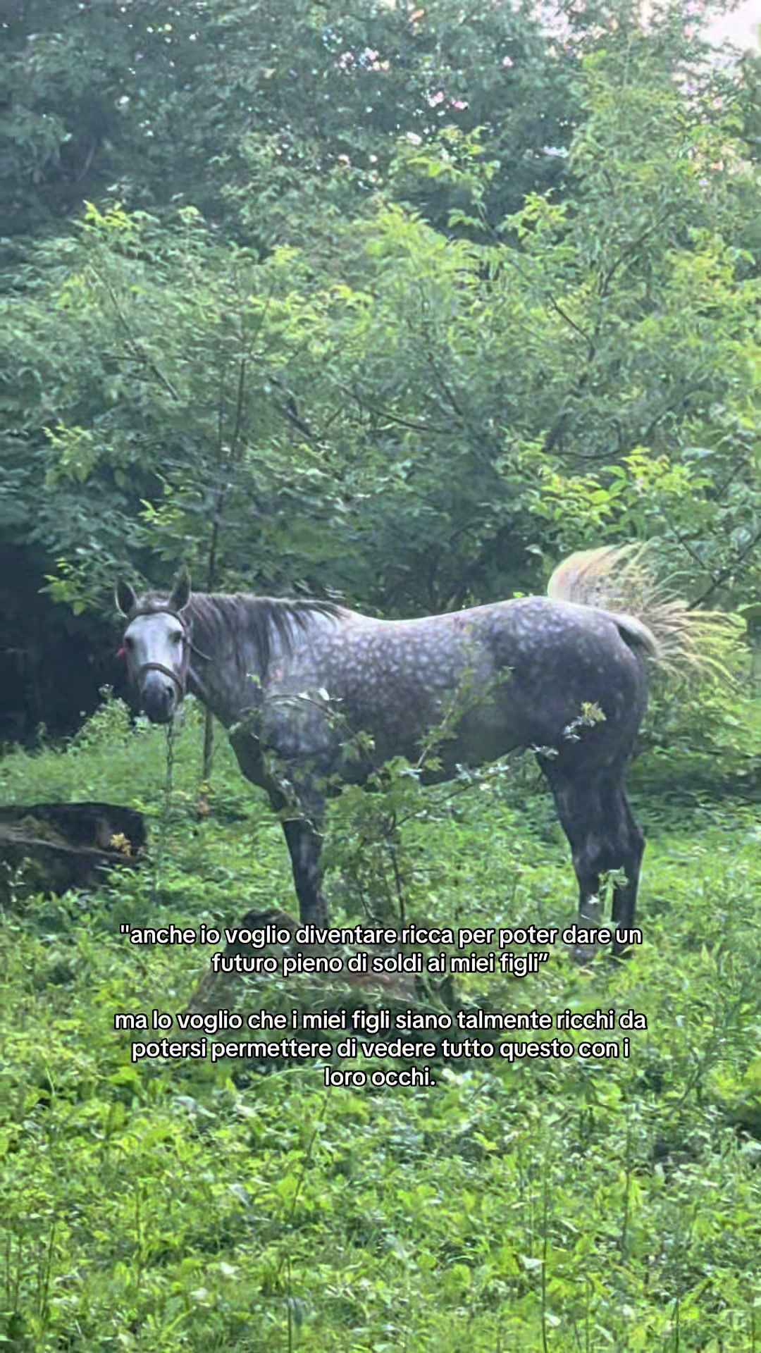 @krii🇺🇦