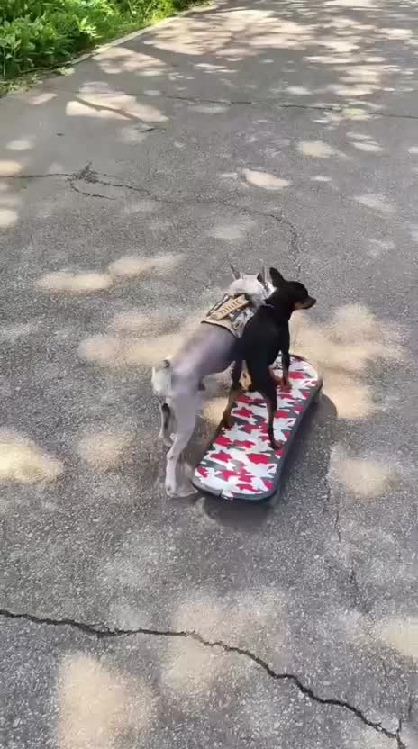 @Funny