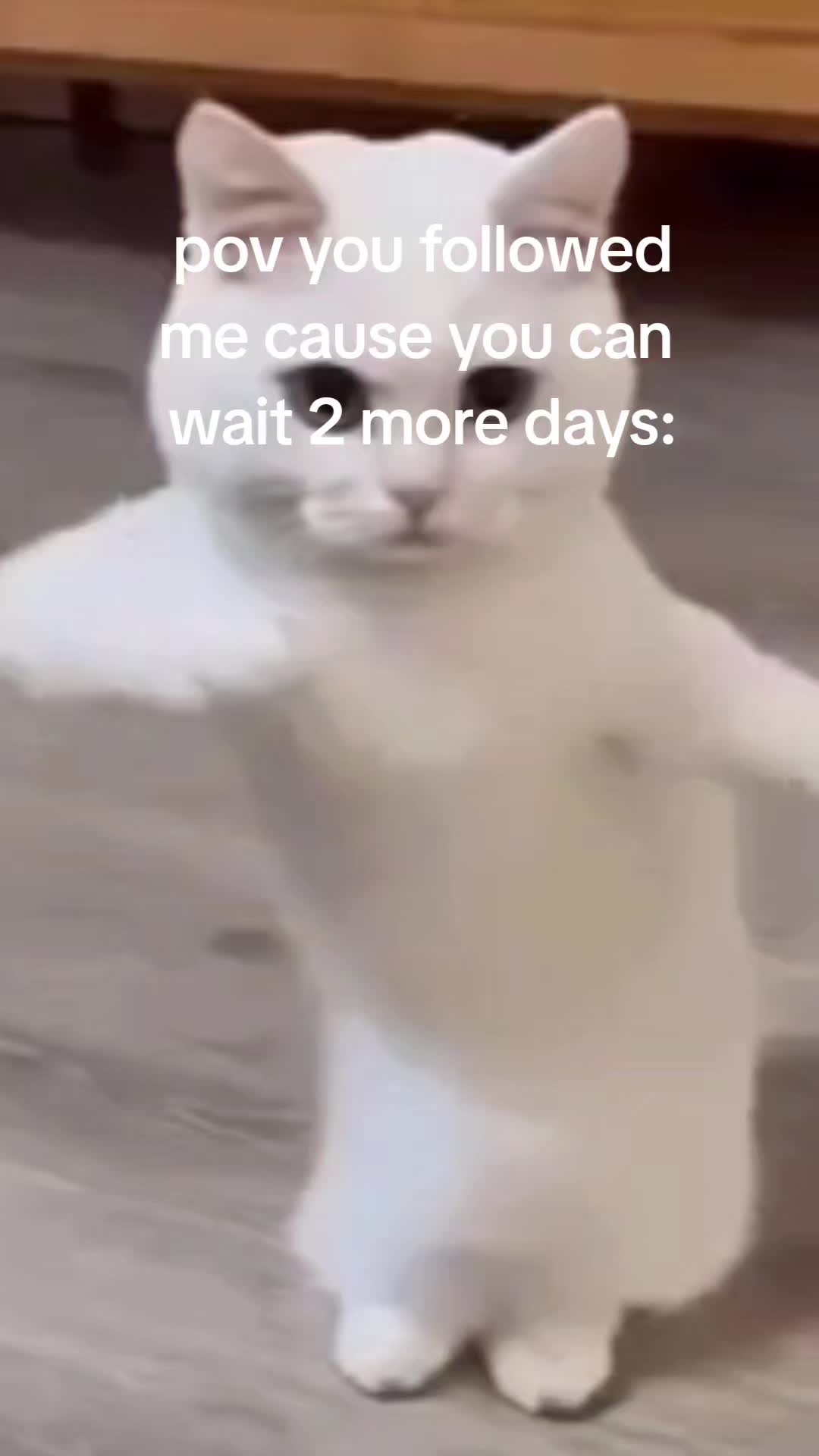 @Oreo