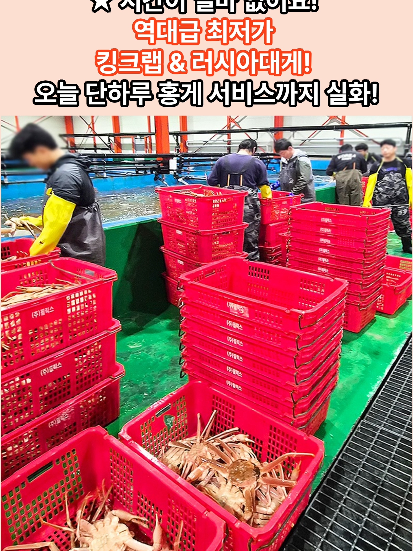 @킹크랩 대게 동해수산유통