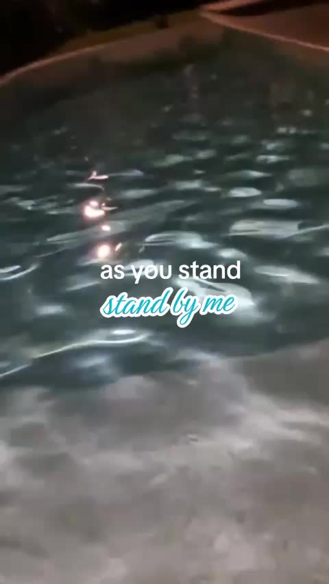 @Ari_13