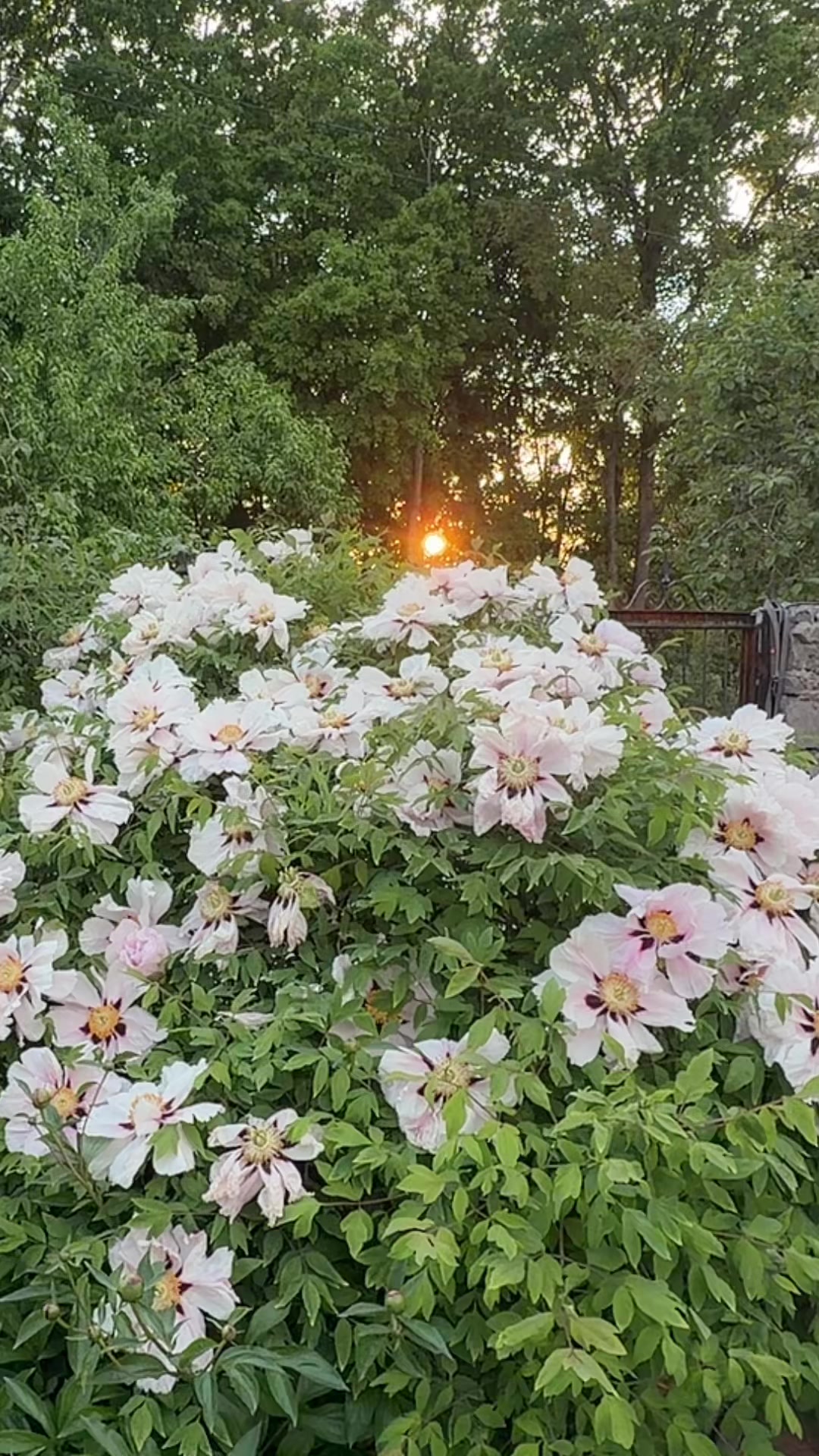 @OlgaLobanova64 ОЛЬГА
